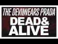 The Devil Wears Prada - Assistant To The Regional Manager (LIVE)