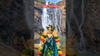 Beauty of tirumala👬 #beauty #god #hindu #winter #falls #tirumala #tirupati #joy #wonderful_places