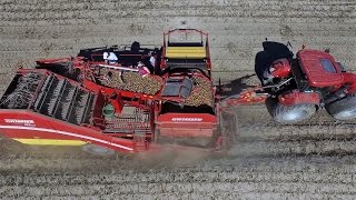 Kartoffelernte - roden mit Case, Grimme SE 260, IHC u. MB Trac- Niedersachsen -potato harvester