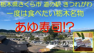 【栃木県の激うまグルメ】あゆ寿司を食べる！単身赴任のグルメ旅【道の駅きつれがわ】