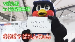 つば九郎　新潟競馬場でバレンティンをいじる（字幕付き）　午前の部　2019/12/1