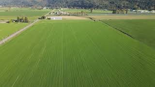 How cover crop and grass stands are looking (Fall 2023)