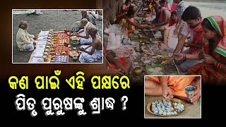 କଣ ପାଇଁ ଏହି ପକ୍ଷରେ ପିତୃ ପୁରୁଷଙ୍କୁ ଶ୍ରାଦ୍ଧ ଦିଆଯାଏ ? | Mahalaya Sradha | Teerthkhetra Live