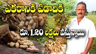 ఆన్ లైన్ లో పంటను అమ్మేస్తున్నాం | GroundNut Farming | Devender