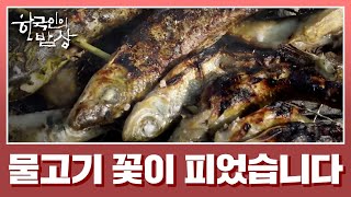 제천 공재마을에서 맛보는 봄기운 가득한 산골 밥상 [한국인의 밥상] 20200319