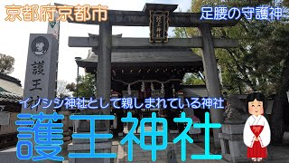 【京都府京都市】護王神社で珍しい狛猪に癒されました【足腰の守護神】