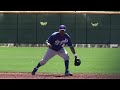 luis piterson fielding in spring training