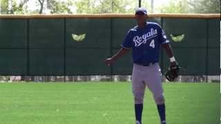 Luis Piterson Fielding in Spring Training