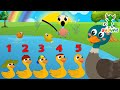 Five Little Ducks | Duck Song - Learn Counting | BUBUPiE