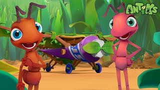 Ants ready to depart 🔴NEW EPISODE!!!🔴| Funny Cartoons | Funny s for kids | ANTIK
