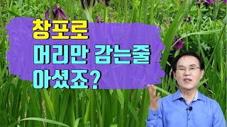 50. 창포물로 머리만 감는게 아닙니다! 창포의 효능과 활용법 공개! ｜건강백과