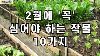 2025년 2월에는 '이것만' 심으면 됩니다!