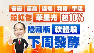 零壹、富喬、達邁、和椿、宇隆 蛇紅包華星光超10% 隱藏版軟體股下周發酵｜新台股龍捲風 徐照興 分析師｜20250207