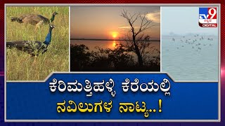 Historic Kerimattihalli lake in Haveri is filled with chirping birds