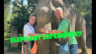 ELEPHANT SANCTUARY IN CHIANG MAI!!