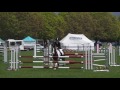 saltaire andy s boy 5yr old series class day 2 wairarapa a u0026p