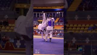 best KO,taekwondo kick,90°