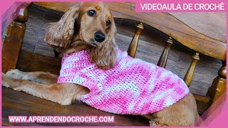 Roupa Pet em Crochê Meg - Aprendendo Crochê