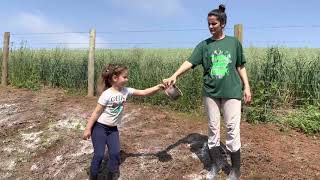 Época de plantio, plantamos milho e abóbora.