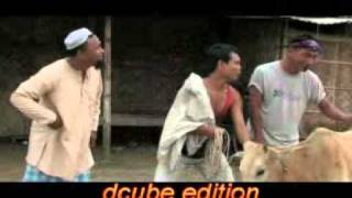 Hainamuli 4(Cattle) by dcube.mp4