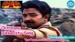 Ankusham Movie Songs - Chttalanu Dikkaristu Song - Rajasekhar - Jeevitha