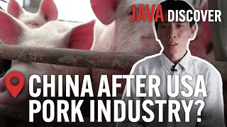 Is China Taking Over the US Pork Industry? The Global Giants Destroying Pig Farming | Documentary