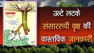 पवित्र गीता जी मैं संसार रूपी वृक्ष का विवरण अध्याय 15 के श्लोक( 1 से 4 व 16 17) में प्रमाण है