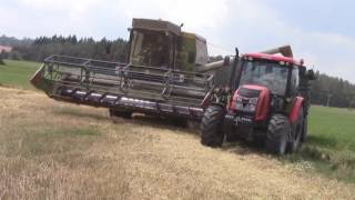 |Žně 2017|Harvest 2017 |żniwa 2017|Fortschritt E-514|Zetor Proxima 9541 Plus|Zetor 7011|