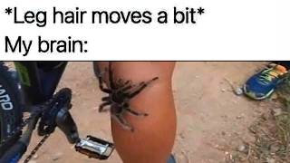 Memes Which Are Kinda Relatable