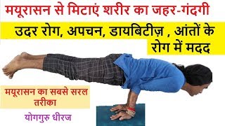 Mayurasana Step by Step | How to do Peacock Pose | Indigestion , Diabetes \u0026 Detox | Guru Dheeraj