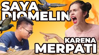 AMPUN GARA-GARA MERPATI INI JADI DIOMELIN WARGA