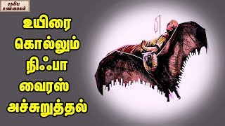 உயிரை கொல்லும் நிஃபா வைரஸ் அச்சுறுத்தல்  || ரகசிய உண்மைகள்