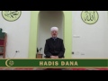 hadis dana fahrudin ef. mujanović