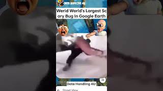 Werid World's Largest Scary Bug In Google Earth #shorts #map #earth #googleearth #trending #ytshorts