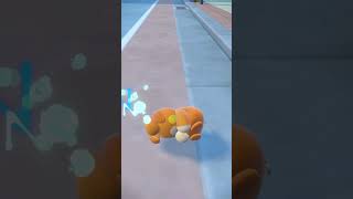 【ポケモンSV】自己満動画。ポケモン保育園！パモ寝てる姿かわい過ぎるw#shorts #short #shortvideo #ポケモン #ポケモンsv #pokemon