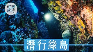 台灣最正潛水勝地綠島　千歲珊瑚倒下變侵侵頭像