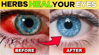 12 Herbs That SHIELD Your Eyes & Restore Vision