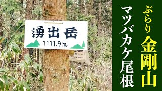 【金剛山】マツバカケ尾根で湧出岳の一等三角点へ向かいました！(2021年3月）