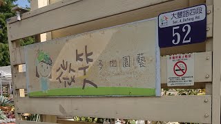 豆の森 - 台中多肉地圖-神岡區 微笑多肉園藝 〃多肉植物〃空氣鳳梨〃