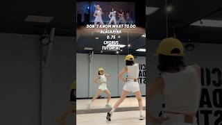 Blackpink - Don’t know what to do 0.75 chorus #kpoptutorial #kpop #blackpink #dontknowwhattodo