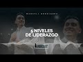 5 NIVELES DE LIDERAZGO