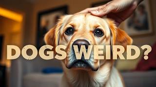 Dog Owners All Notice This… But Don’t Talk About It
