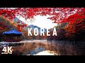 Korea 4K Beautiful Nature Film | Stunning Footage, Scenic Relaxation Film with Calming Music