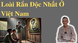 Ông Út Kể Chuyện Loài Rắn Độc Nhất Ở Việt Nam