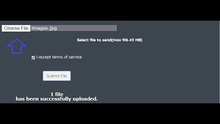 Selenium Tutorial |How to Upload a File using Selenium Webdriver
