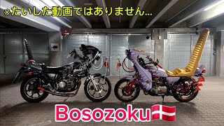 デンマークの族車と観光スポット🇩🇰Bosozoku Danmark