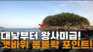 대낮부터 큰 씨알의 볼락들이 터져 나오는 갯바위!!