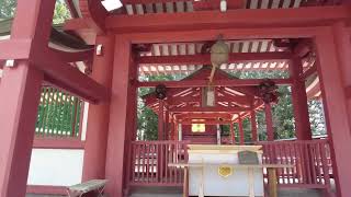 《山梨》冨士御室浅間神社 DJI Pocket2 4K