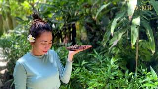 Boreh Spa Treatments Part 1