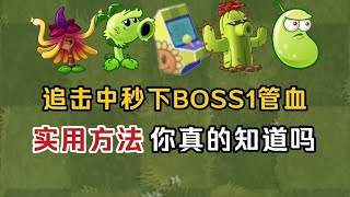 pvz2：盘点在追击秒下BOSS1管血的实用方法！【national祝庆】